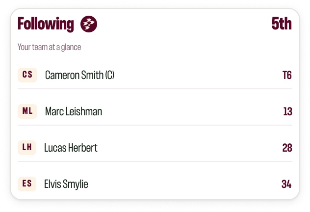 Following panel showing a supported team’s position and each of its players.